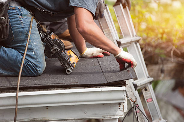 Roof Gutter Cleaning in Mccalla, AL
